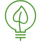Bulb_Awa