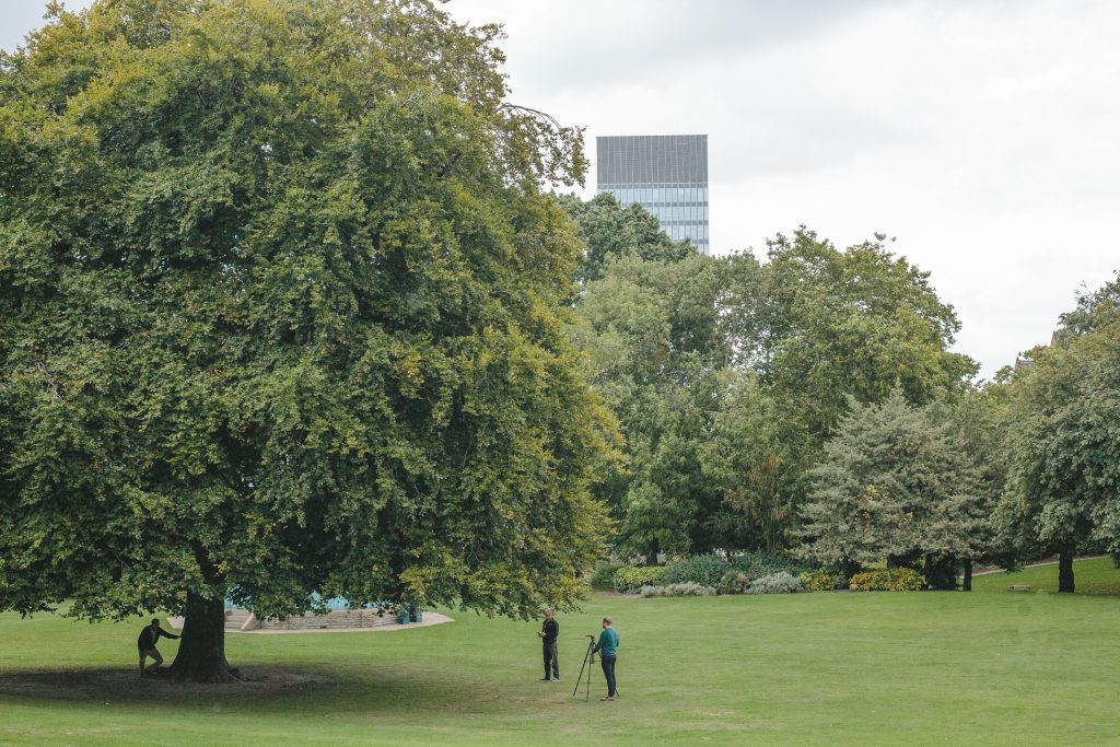 Sheffield Tree Consultants